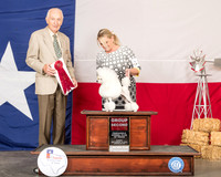 Poodle Toy #22 Sun G2 Judge Roger Hartinger