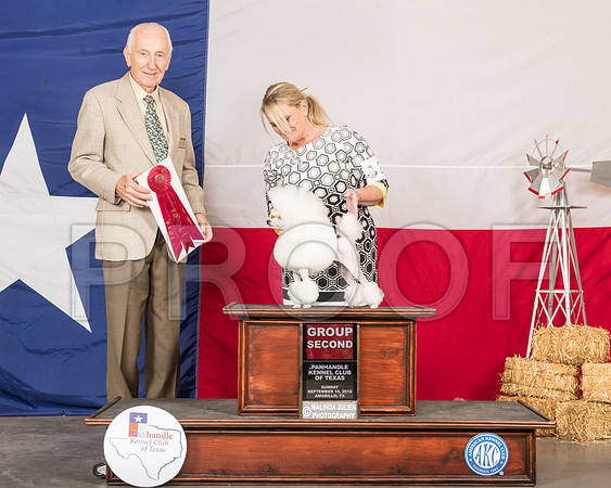 Poodle Toy #22 Sun G2 Judge Roger Hartinger-SSR_1581-HR3