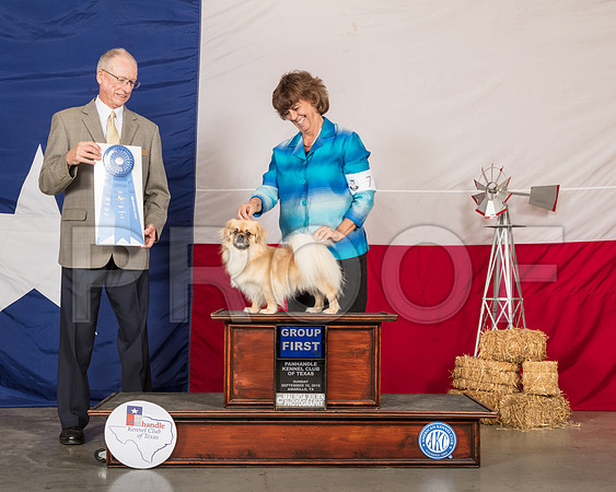 Tibetan Spaniel #7 Sun G1 Judge Allen Odom-SSR_1446-HR3