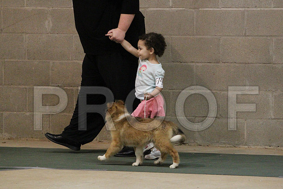 JuniorCCL_1286LR