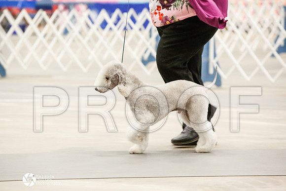 _CK_7896-AblnMay2014-web