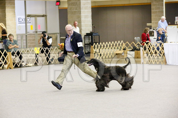 _JJ_2185-AfgBeltonOct2014-HR3