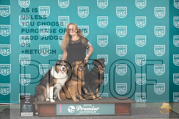 English Shepherd #475 Rally All Stars__JP_2994_Premier_2024_HR3