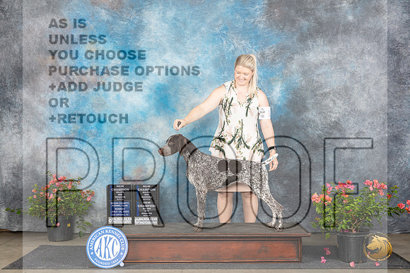German Shorthaired Pointer #22 Sun WBMCH Judge Elizabeth ‘Beth’ Sweigart Christie Martinez Victor Rosado__JP_5814_San Antonio_2024_HR3
