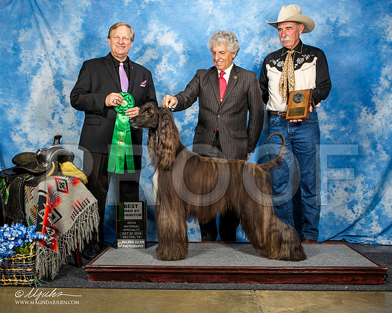 _ST_4618-AfgBeltonOct2014-HR3