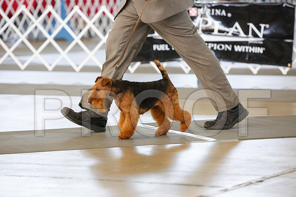 _JJ_8563-DallasJul2014-HR3