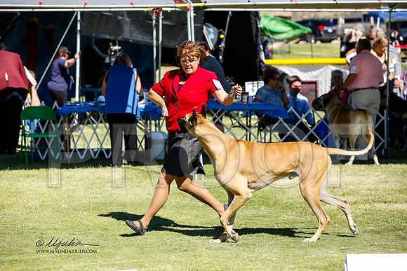 _JN_1235-AlamogordoOct2014-HR3