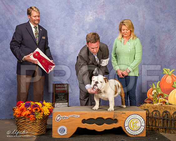 _CL_4676 - Version 2-SanAngelo2014-HR3