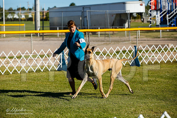 _JJ_9131-AlamogordoOct2014-HR3