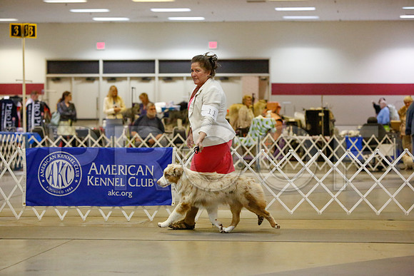 _JN_3531-AmarilloSept2014-HR3