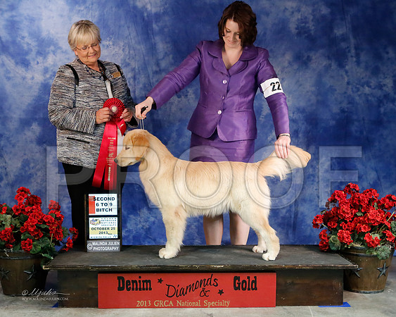 Pup6-9-7945-WFOct2013-HR