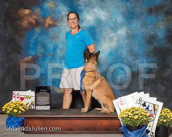 Belgian Malinois Gina Bigalski Chica-SSR_1773-ACDCA2018-HR3