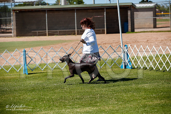 _JJ_8279-AlamogordoOct2014-HR3
