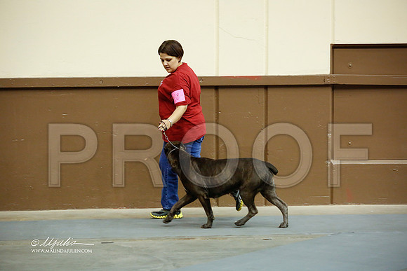 WorkGrp-2417-SANov13-HR