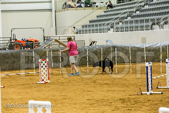 Agility JWW Exc 16 Sat All American Dog Draco-JJJ_1047-ACDCA2018-HR3