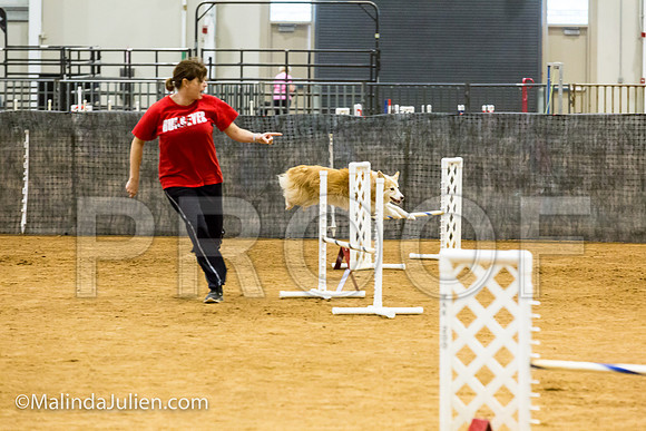 Agility JWW Exc 16 Sat Australian Shepherd Kyli-JJJ_1223-ACDCA2018-HR3