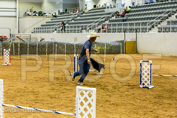 Agility JWW Exc 16 Sat Border Collie Annie-JJJ_1105-ACDCA2018-HR3