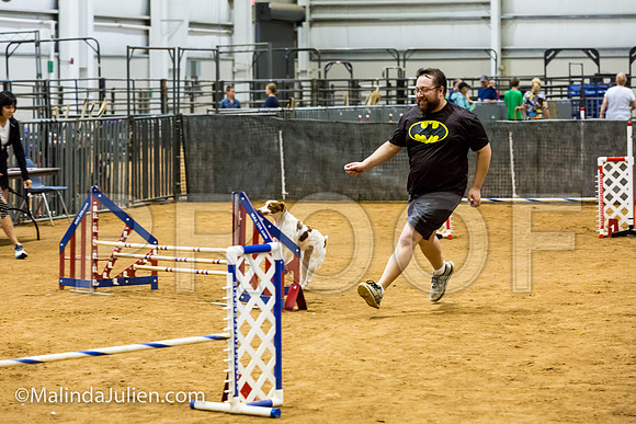 Agility JWW Exc 16 Sat Brittany Dot-JJJ_0769-ACDCA2018-HR3