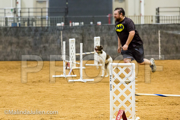 Agility JWW Exc 16 Sat Brittany Frankie-JJJ_0962-ACDCA2018-HR3