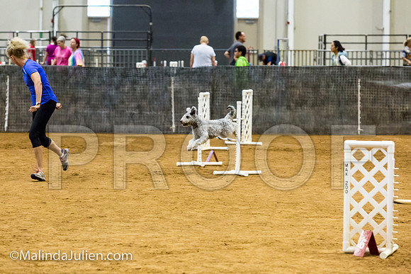 Agility JWW Exc 16 Sat Pumi Borsi-JJJ_0698-ACDCA2018-HR3