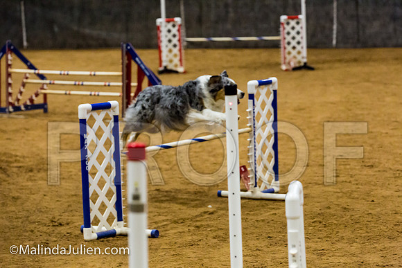 Agility JWW Exc 20 Sat Australian Shepherd Creek-JJJ_1432-ACDCA2018-HR3