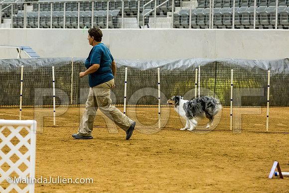 Agility JWW Exc 20 Sat Australian Shepherd Creek-JJJ_1442-ACDCA2018-HR3