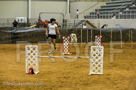 Agility JWW Exc 20 Sat Australian Shepherd River-JJJ_1581-ACDCA2018-HR3