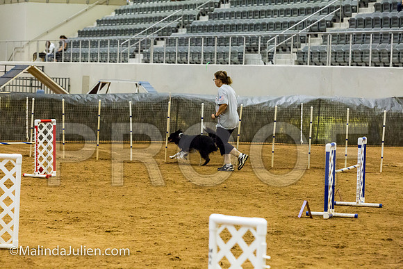 Agility JWW Exc 20 Sat Border Collie Baker-JJJ_1634-ACDCA2018-HR3