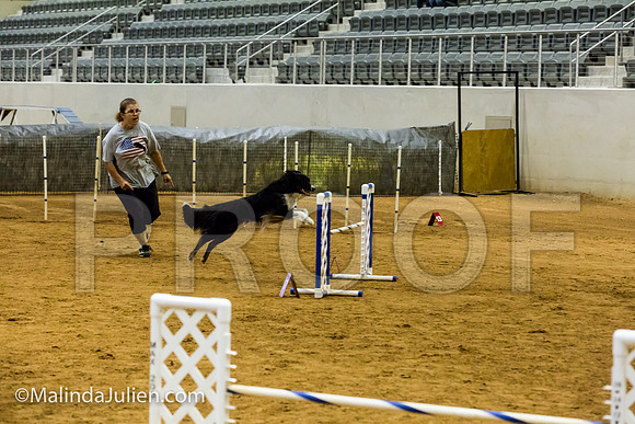 Agility JWW Exc 20 Sat Border Collie Baker-JJJ_1637-ACDCA2018-HR3