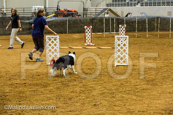 Agility JWW Exc 20 Sat Border Collie Jenna-JJJ_1464-ACDCA2018-HR3
