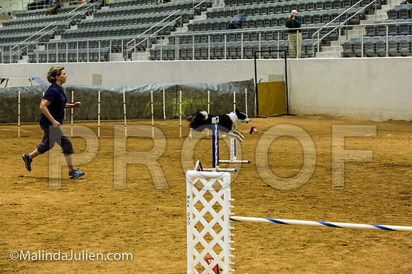 Agility JWW Exc 20 Sat Border Collie Jenna-JJJ_1468-ACDCA2018-HR3
