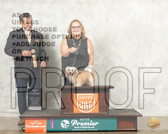 Mi-Ki #? Thur AOE Judge Antonio Raposo__MJ_7296_Premier_2022_HR3