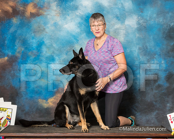 German Shepherd Dog Sun Quin Jackie Little-SSR_1819-HR3
