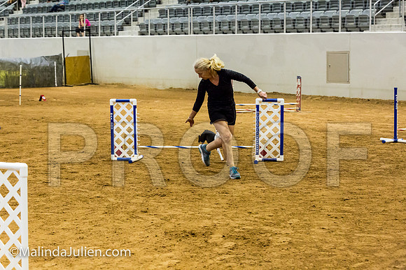 Agility JWW Exc 8 Sat Boston Terrier Pinkie-JJJ_0151-ACDCA2018-HR3