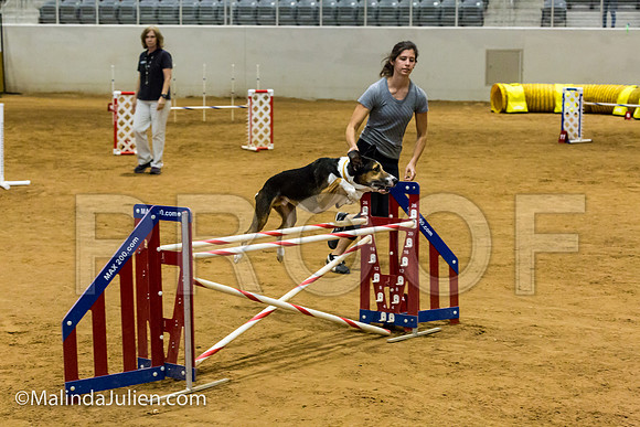 Agility JWW Nov 24 Sat All American Dog Kershaw-JJJ_3432-ACDCA2018-HR3