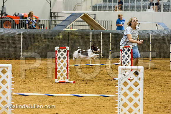 Agility JWW Open 16 Sat Brittany Libby-JJJ_2741-ACDCA2018-HR3