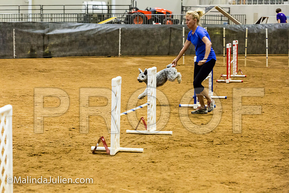 Agility JWW Prem 16 Sat Pumi Borsi-JJJ_9064-ACDCA2018-HR3