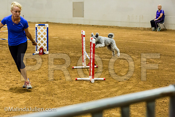 Agility JWW Prem 16 Sat Pumi Borsi-JJJ_9069-ACDCA2018-HR3