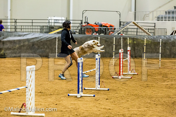 Agility JWW Prem 20 Sat Australian Shepherd River-JJJ_9250-ACDCA2018-HR3