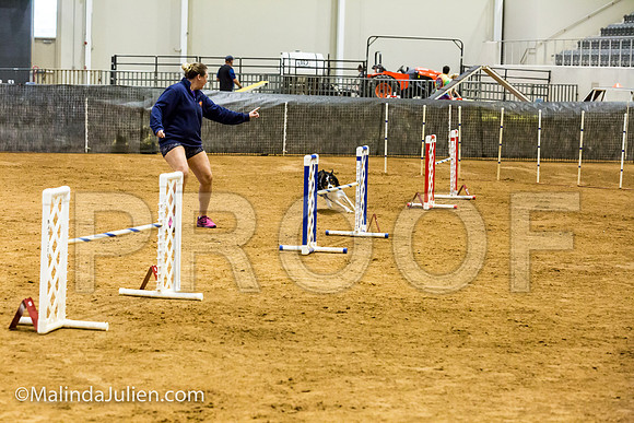 Agility JWW Prem 20 Sat Border Collie Flare-JJJ_9296-ACDCA2018-HR3
