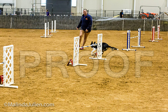 Agility JWW Prem 20 Sat Border Collie Flare-JJJ_9300-ACDCA2018-HR3