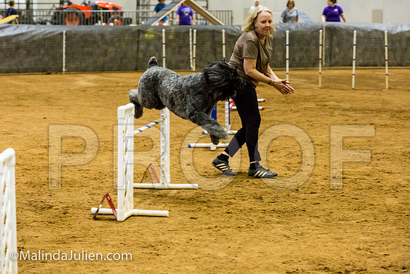 Agility JWW Prem 24 Sat Bouvier Texsi-JJJ_9632-ACDCA2018-HR3