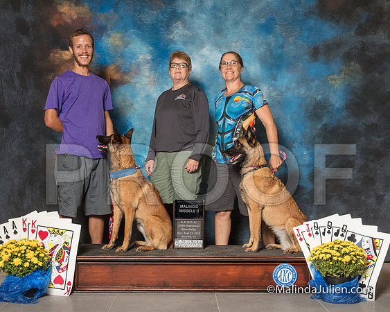 Belgian Malinois Sun Gina Bujalksi-SSR_1869-HR3