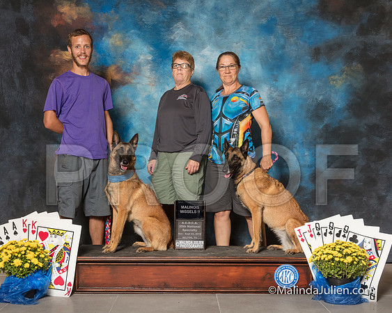 Belgian Malinois Sun Gina Bujalksi-SSR_1870-HR3