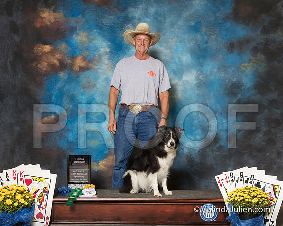 Border Collie Sun Annie-SSR_1895-HR3