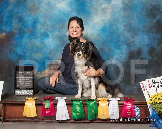 Border Collie Sun Charlotte Meador Shiloh-SSR_2010-HR3