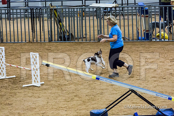 Agility FAST 16 Sun Brittany Libby-JJJ_4145-HR3