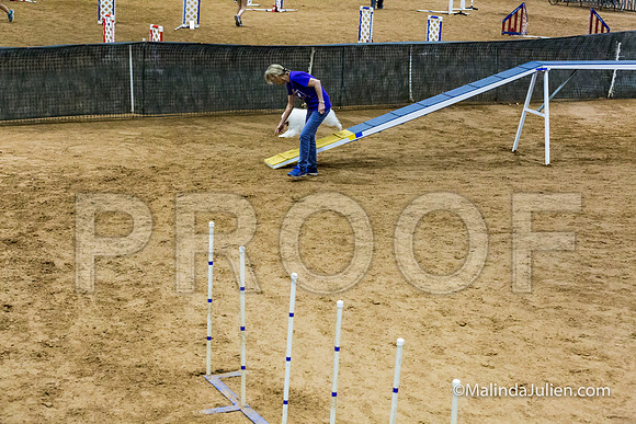 Agility STD Exc Sun 12 American Eskimo-JJJ_6417-HR3