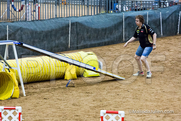Agility STD Exc Sun 12 Shetland Sheepdog Kimi-JJJ_6115-HR3