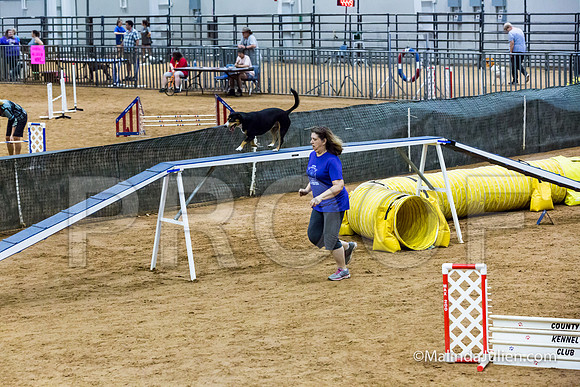 Agility STD Exc Sun 16 Entlebucher Mountain Dog Skylar-JJJ_6738-HR3